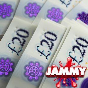 £500 HIGH ROLLER INSTANT CASH #48