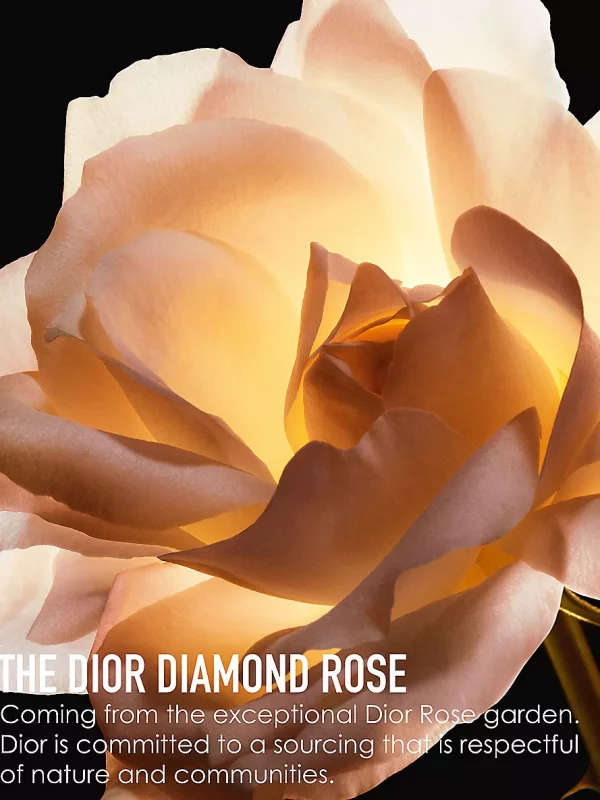 DIOR PRESTIGE LA CREME - Image 5