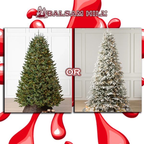 BALSAM HILL CHOICE OF 6.5' DESIGNER CHRISTMAS TREE!