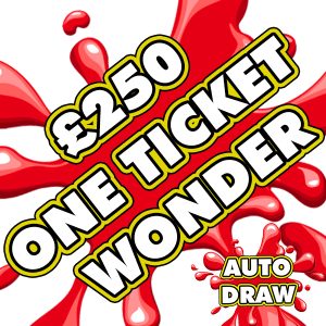 £250 ONE TICKET WONDER #32 - AUTO DRAW!