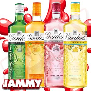 GORDONS GIN BUNDLE!