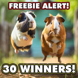 FREE 30 WINNER SITE CREDIT MULTI WIN AUTO DRAW!!!