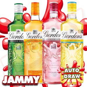 GORDONS GIN BUNDLE + NEIGHBOURS!
