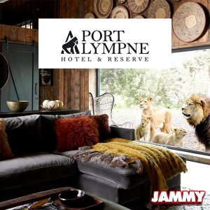 SLEEP WITH LIONS, TIGERS & BEARS AT PORT LYMPNE SAFARI PARK!