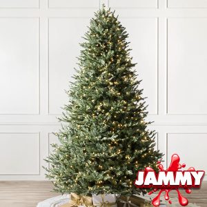 BH BALSAM HILL FIR TREE or £580 CASH!
