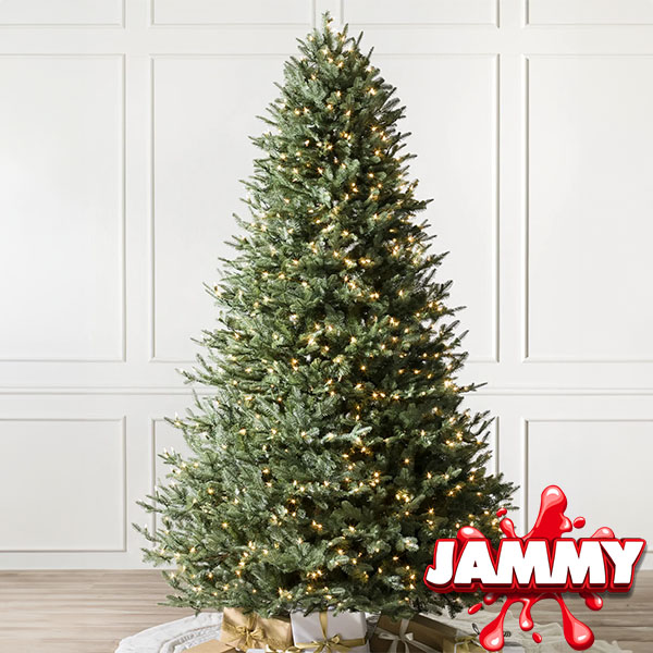 BH BALSAM HILL FIR TREE or £580 CASH!