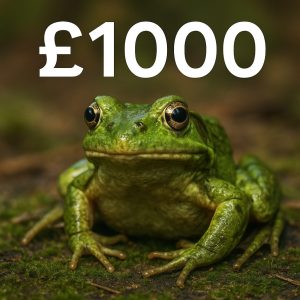 £1000 Cash - You Found A Funky Frog!