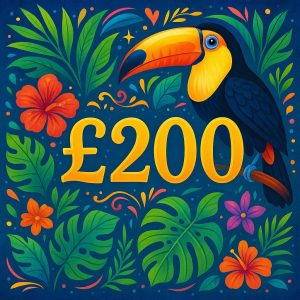 £200 Cash - Terrific Toucan!