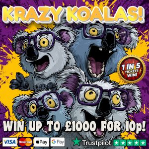 🐨 KRAZY KOALAS! 🐨
