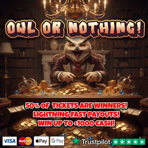 🦉 OWL OR NOTHING! 🦉