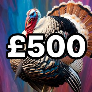 £500 Cash - Queen Turkey!