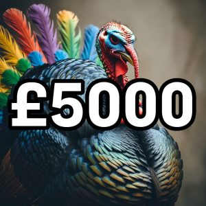 £5000 Cash - King Of The Turkeys!