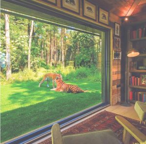 Port Lympne Stay At Tiger Lodge Or £2000 Cash!