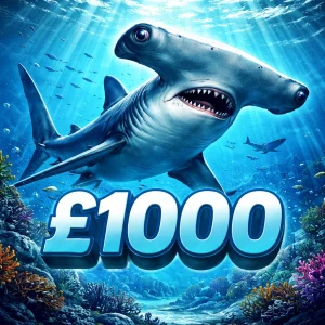 £1000 CASH! - HAMMERHEAD SHARK!
