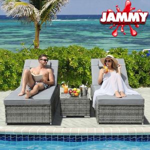 RATTAN SUN LOUNGER SET or £375 CASH!