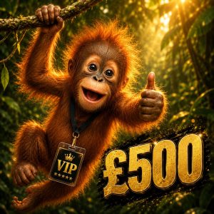 £500 - Jungle VIP!