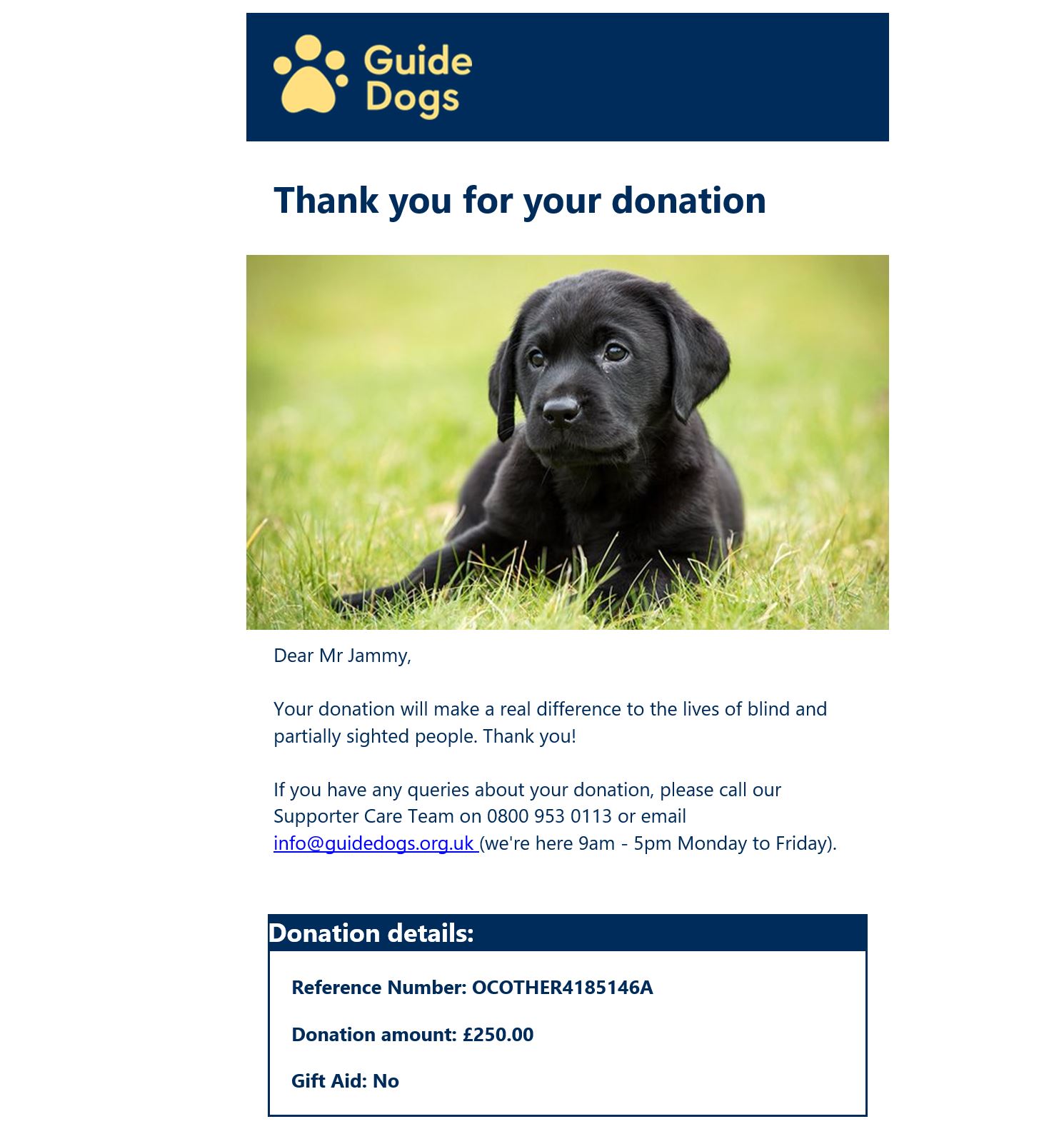 Donation to Guide Dogs