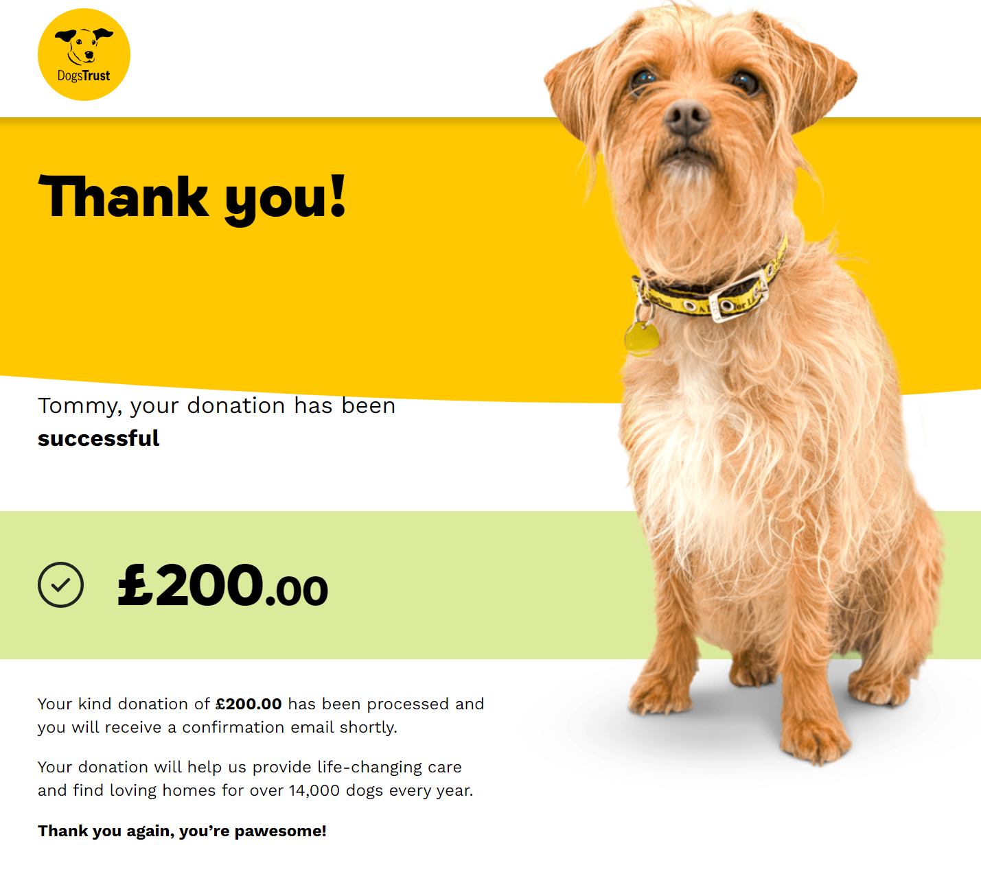 Donation to Dogs Trust