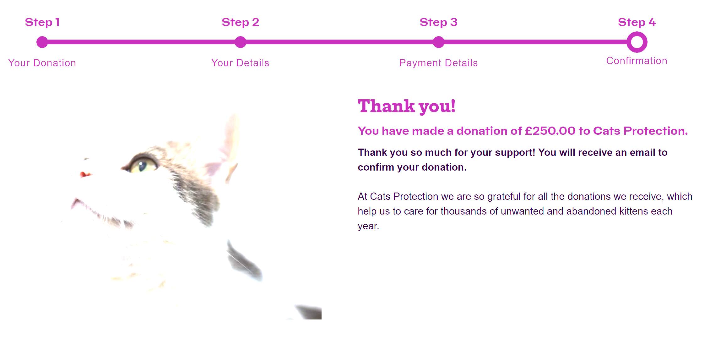 Donation to Cats Protection