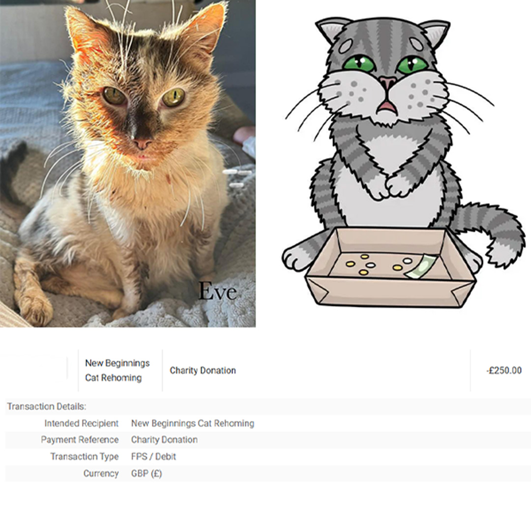 Donation to New Beginnings Cat Rescue