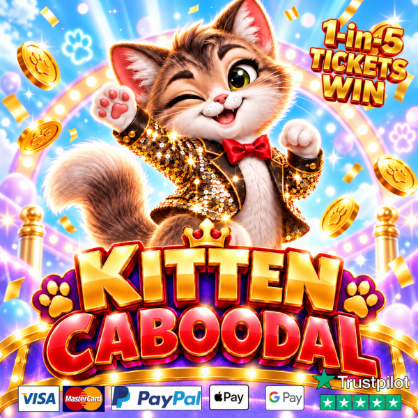 😻 KITTEN CABOODAL 😻